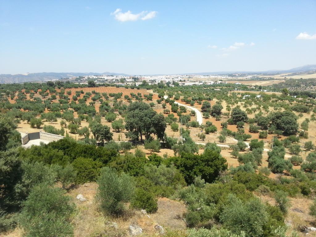 Casa Luna רונדה מראה חיצוני תמונה