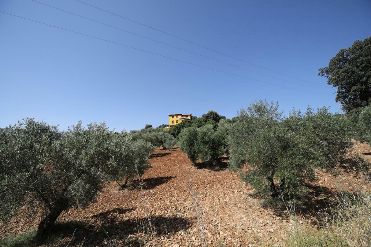 Casa Luna רונדה מראה חיצוני תמונה